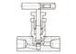 Industrielles hydraulisches Hochdruckedelstahlnadelventil mit kleinem Durchmesser SS316L B12 fournisseur